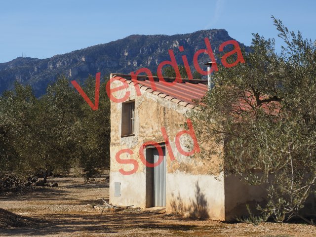 Finca Rústica en Roquetes (Tortosa) con agua