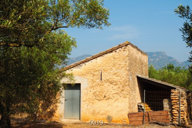 Finca Rústica cerca de Tortosa