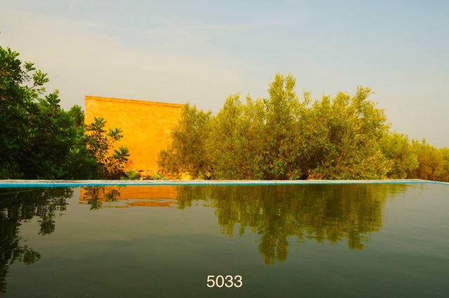Finca with two houses and pool