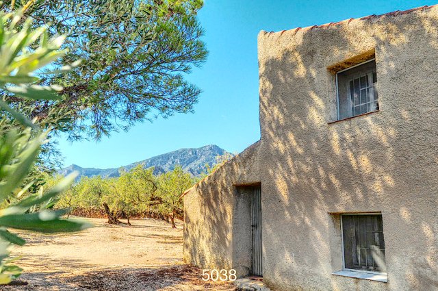 Finca rustica con casa y agua