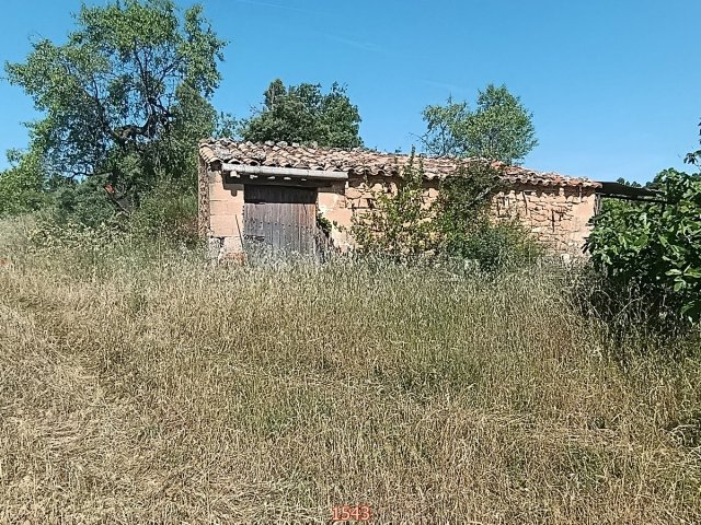 Finca in Arens de Lledó / Aragon